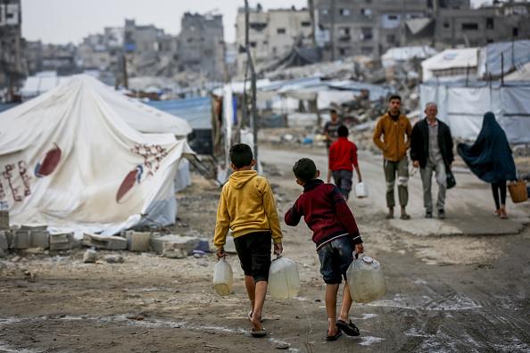 The spread of fleas exacerbates the suffering of displaced people in Al-Mawasi and threatens a harsh summer health crisis.