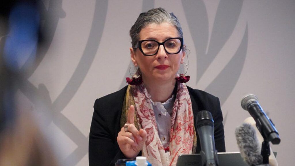 Albanese: Anti-Semitism is a big deception and Israel must be stopped from arming itself