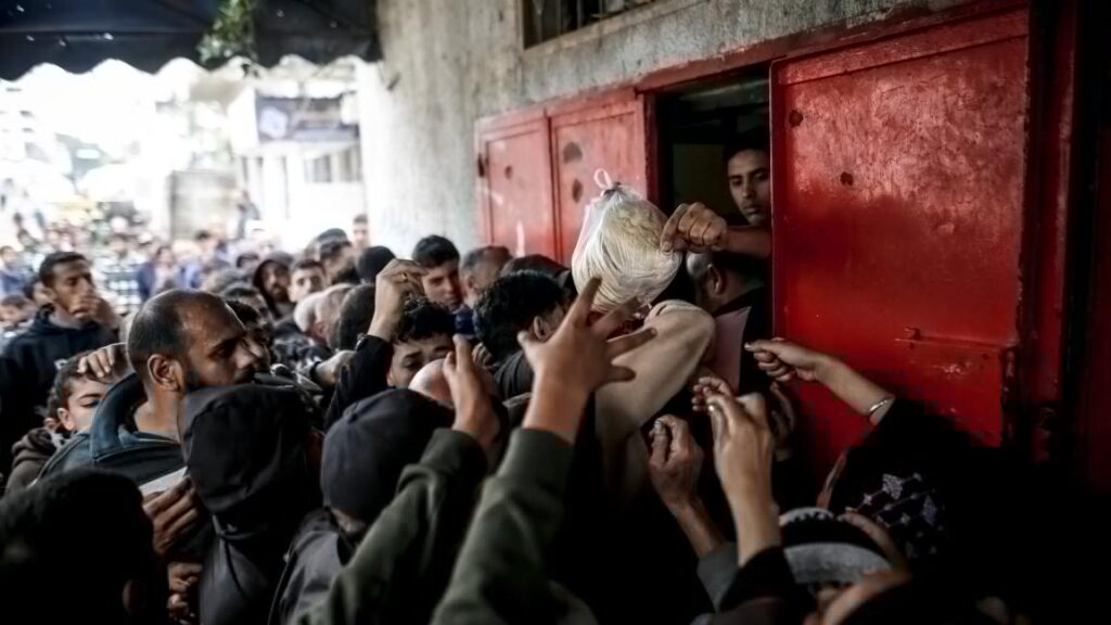 The bread crisis is exacerbating