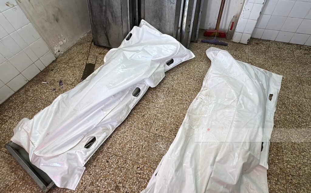 Gaza Health Ministry: 3 Martyrs and 12 Injured in 24 Hours