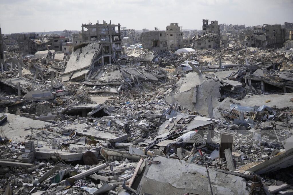 Palestinian clans call for a Friday of Rage in solidarity with Gaza and in rejection of the ongoing tragedy